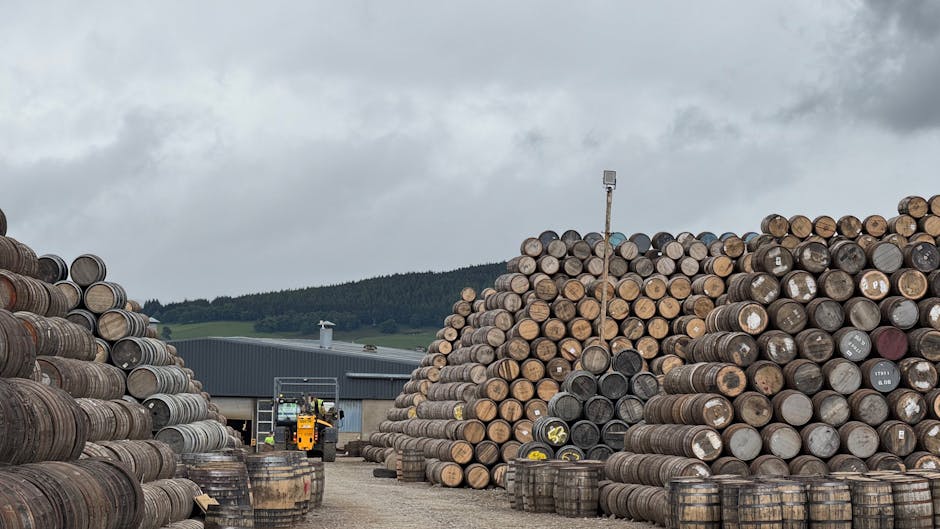 揭開迷你倉的秘密：讓空間煥然一新的機智之選
