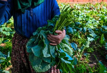 上衣的選擇與搭配指南