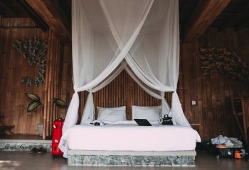 捲式蚊網:夏日必備的神奇防蚊法寶