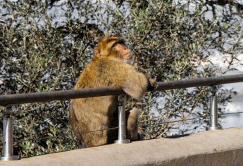 迷你倉市場現況及趨勢分析報告